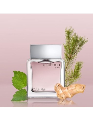 calvin_klein_euphoria_para_hombre_eau_de_toilette_3_piece_holiday_set_regalo_3616304678332_barato