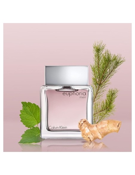 calvin_klein_euphoria_para_hombre_eau_de_toilette_3_piece_holiday_set_regalo_3616304678332_barato