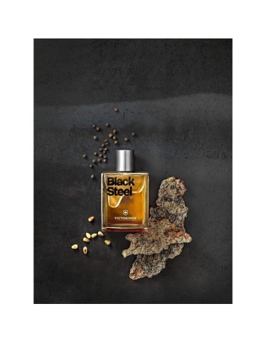 victorinox_black_steel_eau_de_toilette_vaporizador_100ml_para_hombre_7611160127679_barato