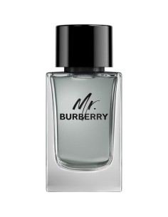 mr._burberry_eau_de_toilette_vaporizador_150ml_5045456773318_oferta