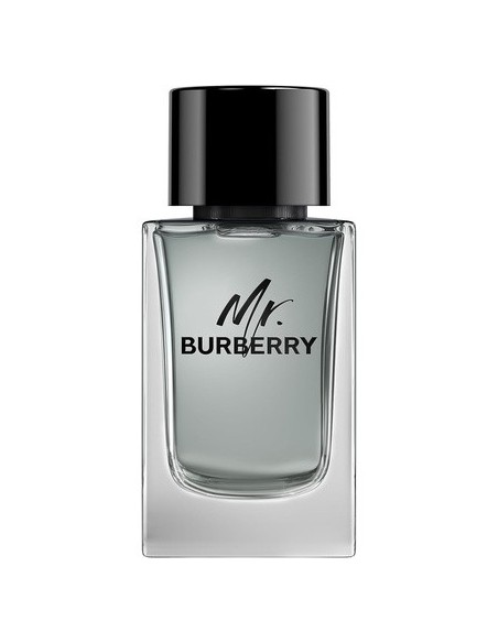 mr._burberry_eau_de_toilette_vaporizador_150ml_5045456773318_oferta