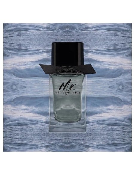 mr._burberry_eau_de_toilette_vaporizador_50ml_5045456747654_barato