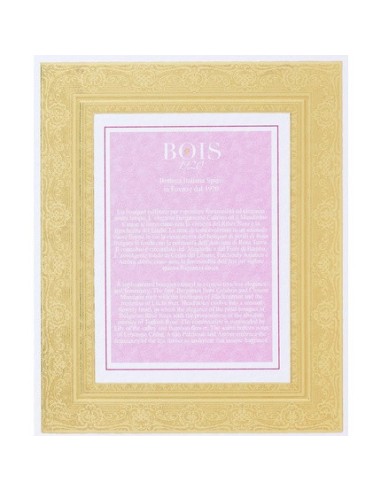 bois_1920_rosa_di_filare_eau_de_parfum_100ml_8055277280039_barato