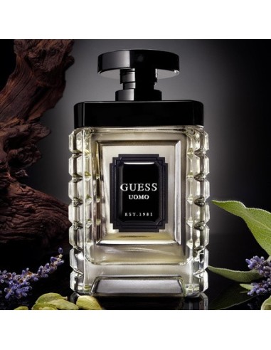guess_uomo_eau_de_toilette_100ml_para_hombre_0085715326607_barato