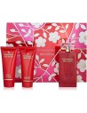 Elizabeth Arden Red Door Set Regalo100ml Eau de Toilette + 100ml Gel de Ducha + 100ml Loción Corporal