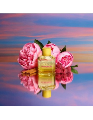 hollister_canyon_sky_for_her_eau_de_parfum_100ml_spray_para_mujer_0085715267245_barato