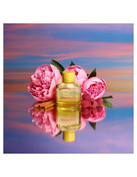 hollister_canyon_sky_for_her_eau_de_parfum_100ml_spray_para_mujer_0085715267245_barato