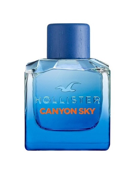 hollister_canyon_sky_for_him_eau_de_toilette_100ml_spray_para_hombre_0085715267146_oferta