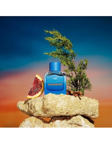 hollister_canyon_sky_for_him_eau_de_toilette_100ml_spray_para_hombre_0085715267146_barato