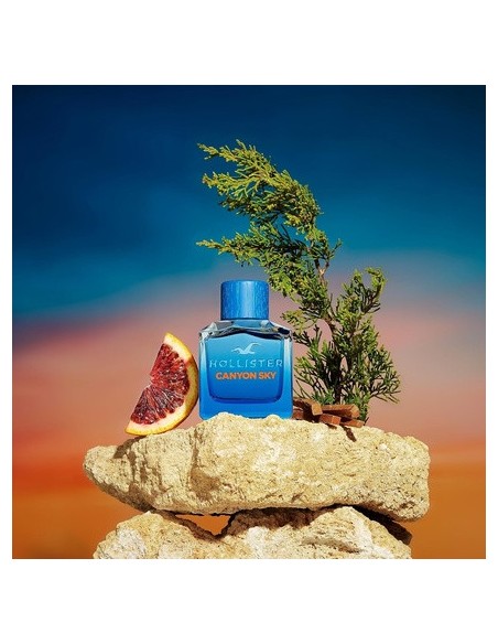 hollister_canyon_sky_for_him_eau_de_toilette_100ml_spray_para_hombre_0085715267146_barato