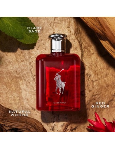 ralph_lauren_polo_red_eau_de_parfum_75ml_vaporizador_3605972321831_promocion