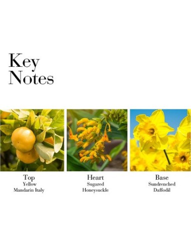 elizabeth_arden_sunflowers_sunrise_eau_de_toilette_100ml_vaporizador_0085805194130_barato