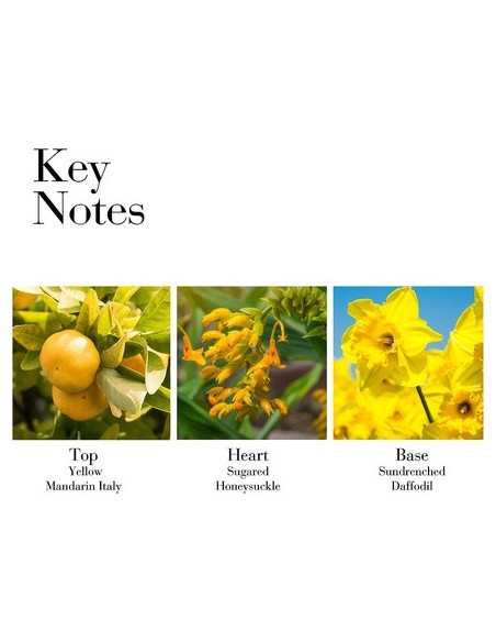 elizabeth_arden_sunflowers_sunrise_eau_de_toilette_100ml_vaporizador_0085805194130_barato