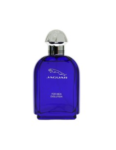 Jaguar Evolution Eau de Toilette 100ml Vaporizador