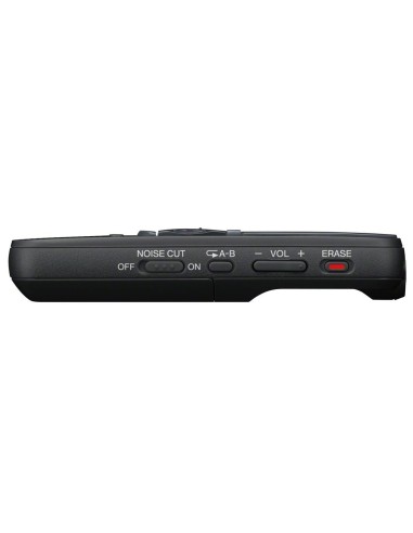 Sony ICDPX333D - Grabadora de voz digital de 4 GB con software Dragon 12: Kiwiku.com: Oficina y papelería