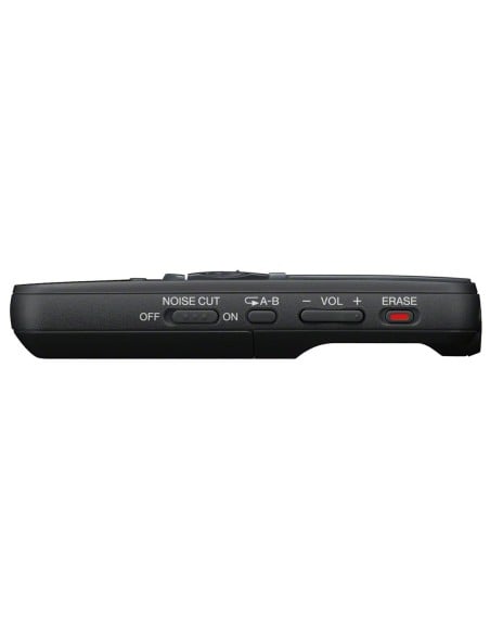 Sony ICDPX333D - Grabadora de voz digital de 4 GB con software Dragon 12: Kiwiku.com: Oficina y papelería