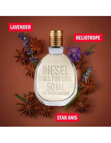 diesel_fuel_for_life_para_hombre_eau_de_toilette_125ml_3614273277693_barato