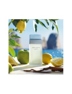 dolce_&_gabbana_light_blue_pour_femme_eau_de_toilette_vaporizador_100ml_8057971180318_oferta