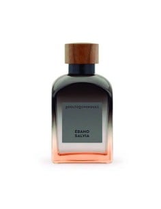 adolfo_dominguez_ebony_salvia_men's_eau_de_parfum_120ml_8410190628892_oferta