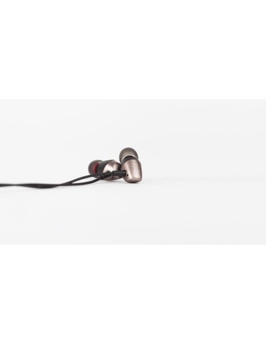Moshi Mythro Auriculares con Micro Gris (99MO035241) 4712052314580