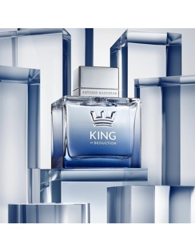 antonio_banderas_king_of_seduction_50ml_eau_de_toilette_spray_8411061784280_barato