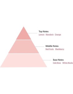 pascal_morabito_beautiful_girl_100ml_eau_de_parfum_3760004322481_oferta 2