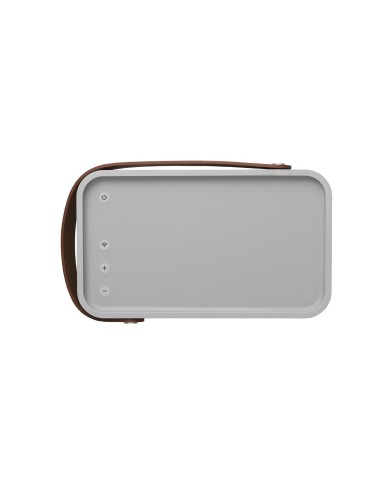 Bang amp Olufsen Play Beolit 12 Airplay - Sistema de audio inalámbrico portátil, gris - Electrónica - Kiwiku.com