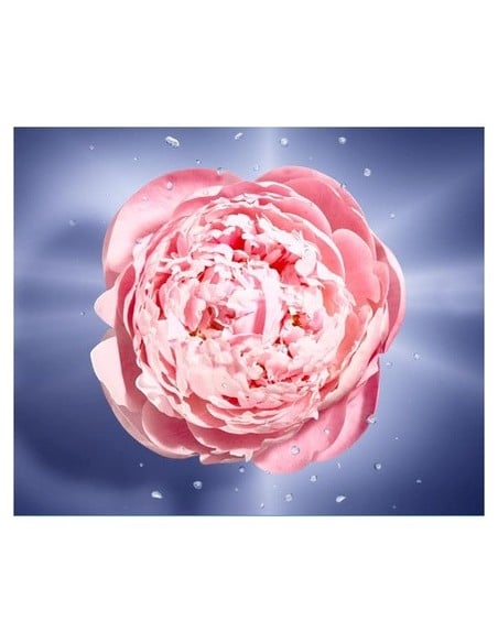 lancome_la_vie_est_belle_en_rose_eau_de_toilette_vaporizador_50ml_3614272520868_barato