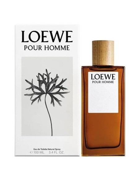 loewe_para_hombre_eau_de_toilette_100ml_8426017070119_oferta
