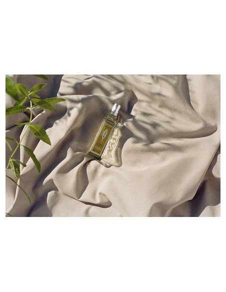 l'occitane_verveine_eau_de_toilette_vaporizador_100ml_3253581264362_promocion