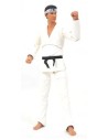 Daniel Larusso Vhs Fig 18 Cm Cobra Kai Sdcc 2022 Exclusive (figura)