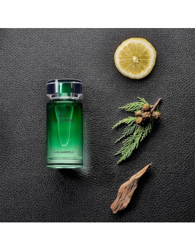 karl_lagerfeld_bois_de_cyprã¨s_eau_de_toilette_100ml_spray_3386460133869_barato