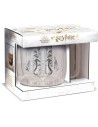 Stor Taza de Cristal Doble Pared Harry Potter