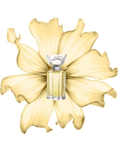oscar_de_la_renta_oscar_esprit_d'oscar_eau_de_parfum_100ml_para_mujer_0085715573452_barato