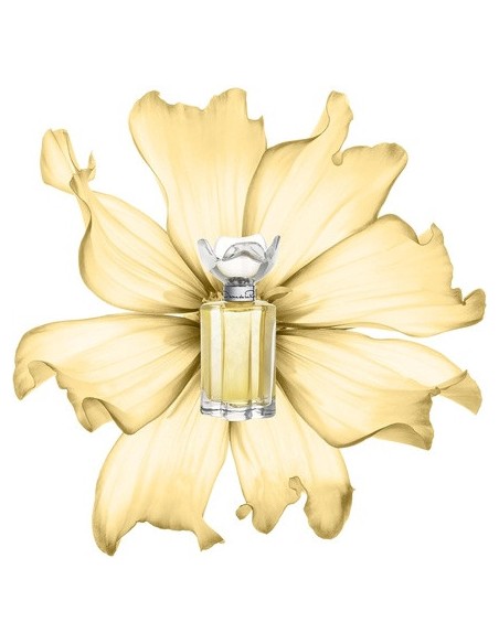 oscar_de_la_renta_oscar_esprit_d'oscar_eau_de_parfum_100ml_para_mujer_0085715573452_barato