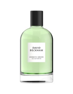david_beckham_infinite_aqua_eau_de_parfum_100ml_vaporizador_3616302780020_oferta