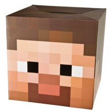 Minecraft 12" steve head...