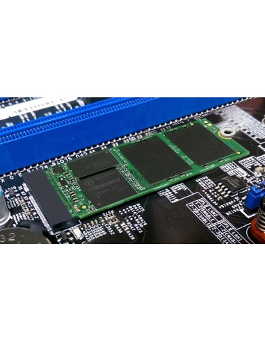 Transcend MTS600 M.2 SSD - Disco duro sólido SSD de 256 GB para ultrabooks y tabletas, verde: Kiwiku.com: Informática