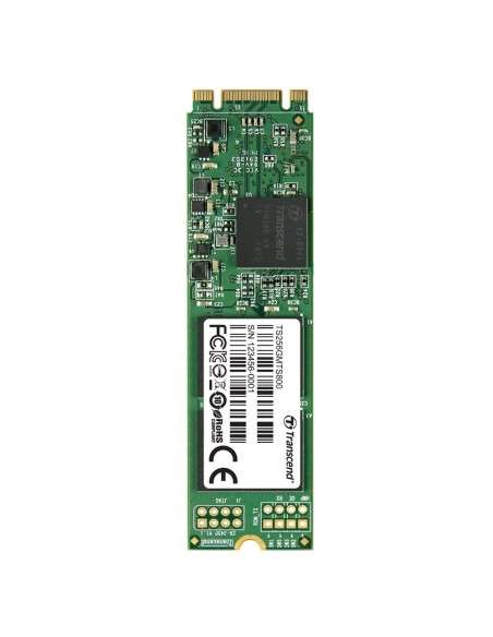 Transcend MTS800 M.2 SSD - Disco duro sólido SSD de 256 GB para ultrabooks y tabletas, verde: Kiwiku.com: Informática