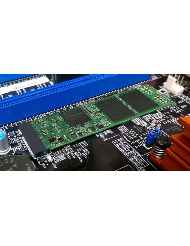 Transcend MTS800 M.2 SSD - Disco duro sólido SSD de 256 GB para ultrabooks y tabletas, verde: Kiwiku.com: Informática