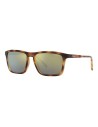 Gafas de Sol Hombre Arnette Shyguy An 4283
