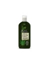 Dr Organic Dr. Organic Champú y Acondicionador de Cáñamo 265ml