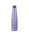 Be Natural Placenta Life Be Nat Blueberry Silver Acondicionador 350ml