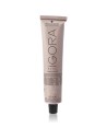 Tinte Permanente Schwarzkopf Igora Royal Absolutes 6-60 60ml