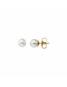 Pendientes Mujer Majorica 00323.01.1.000.701.1