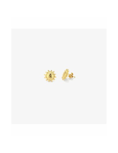 pendientes_mujer_radiant_ry000153_8434103488502_barato