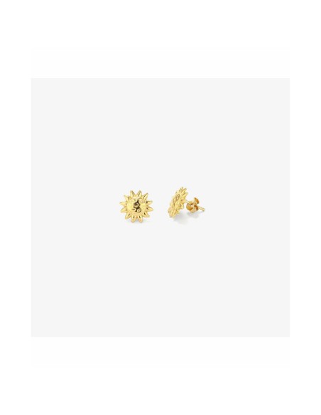 pendientes_mujer_radiant_ry000153_8434103488502_barato