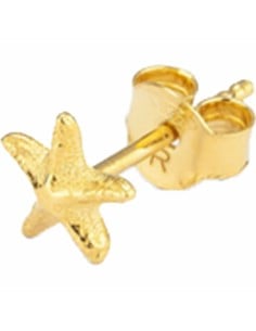 pendientes_mujer_radiant_ry000141_8434103488458_oferta
