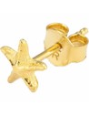 Pendientes Mujer Radiant Ry000141