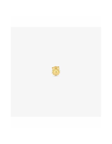 pendientes_mujer_radiant_ry000155_acero_inoxidable_1_cm_8434103488526_promocion